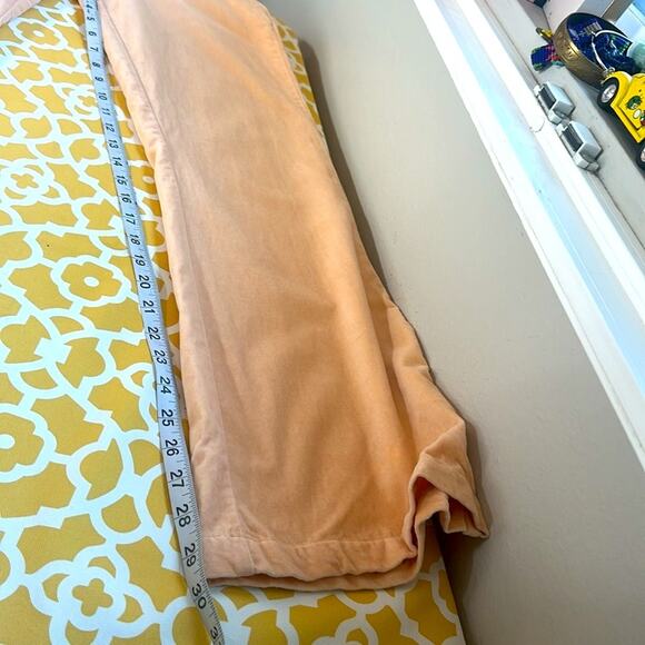 Paloma Wool - Peach Velvet Wadi Pants - Sz.  2 Wide leg. See Video - Picture 10 of 16